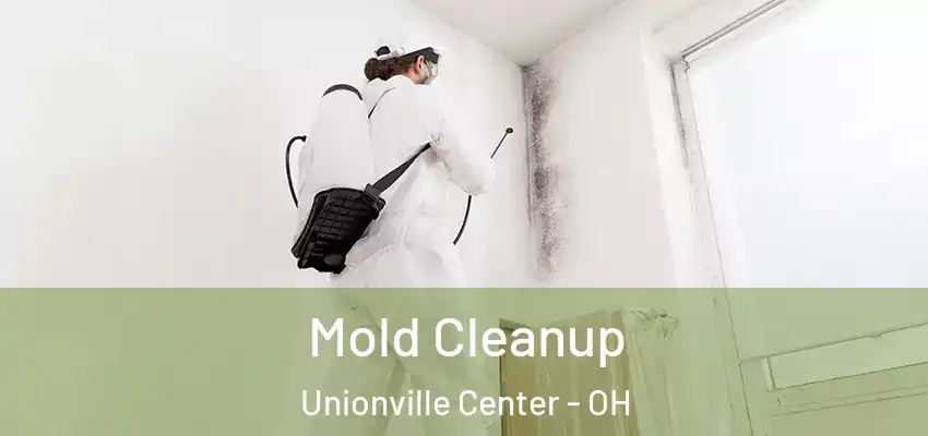 Mold Cleanup Unionville Center - OH