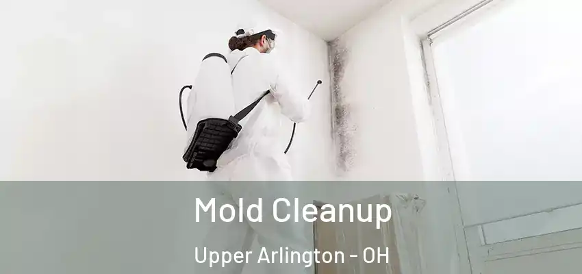 Mold Cleanup Upper Arlington - OH
