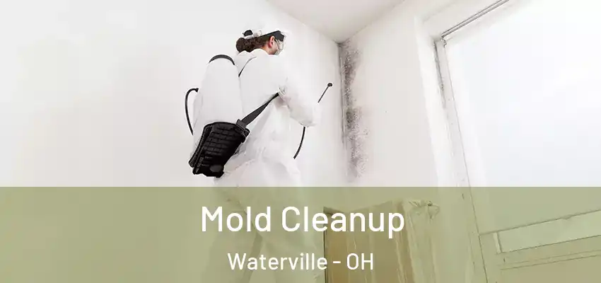 Mold Cleanup Waterville - OH