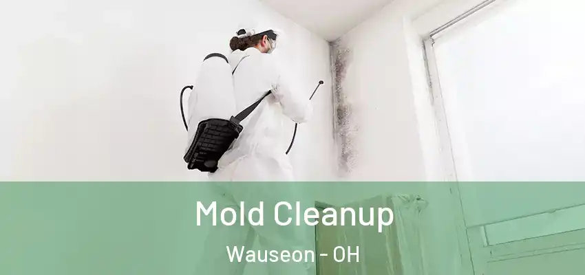 Mold Cleanup Wauseon - OH