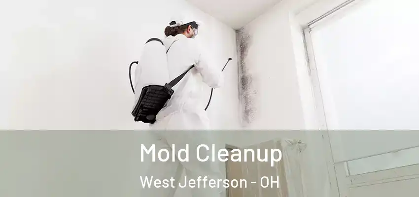  Mold Cleanup West Jefferson - OH