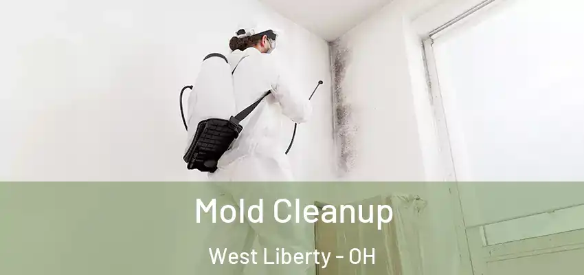  Mold Cleanup West Liberty - OH