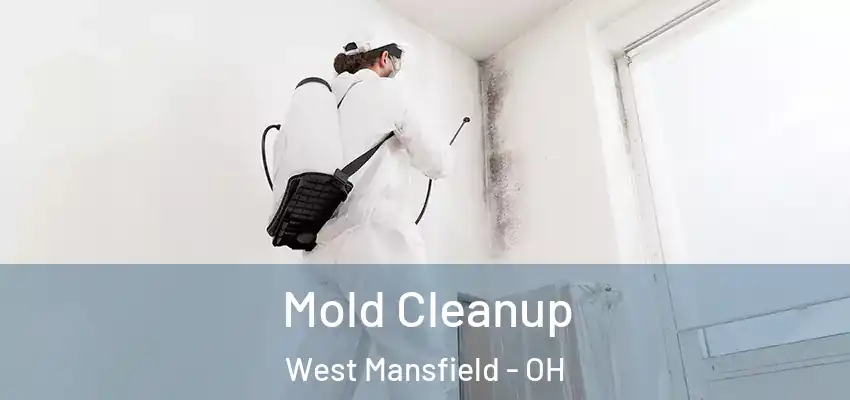  Mold Cleanup West Mansfield - OH