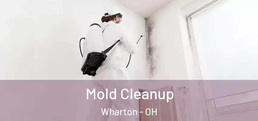  Mold Cleanup Wharton - OH