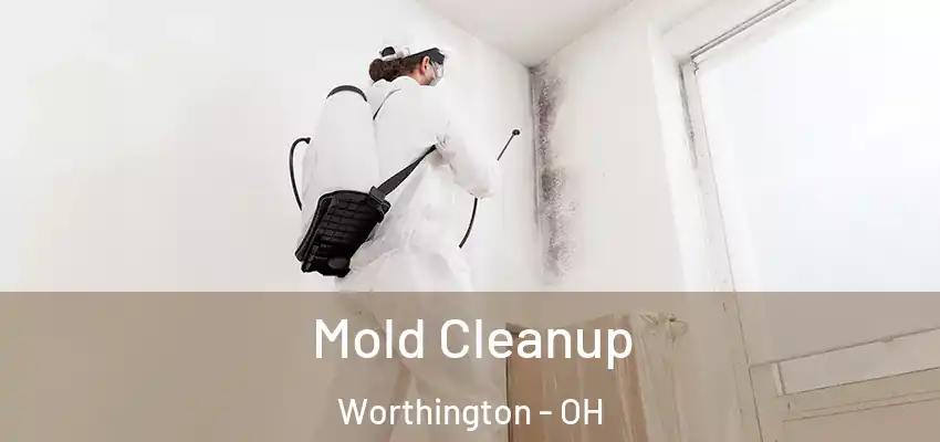 Mold Cleanup Worthington - OH