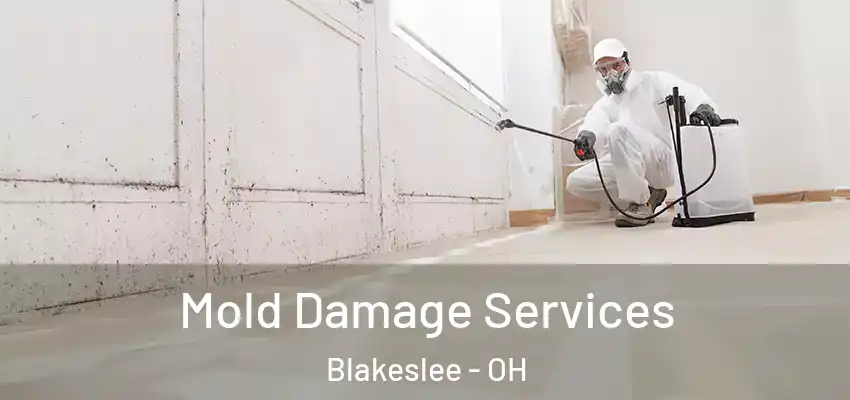 Mold Damage Services Blakeslee - OH