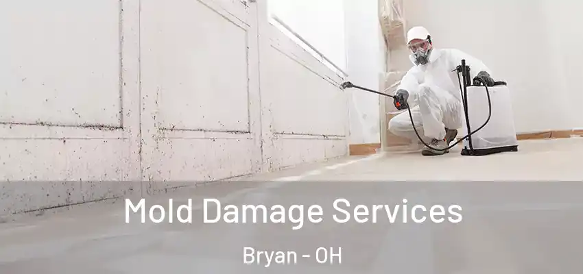 Mold Damage Services Bryan - OH