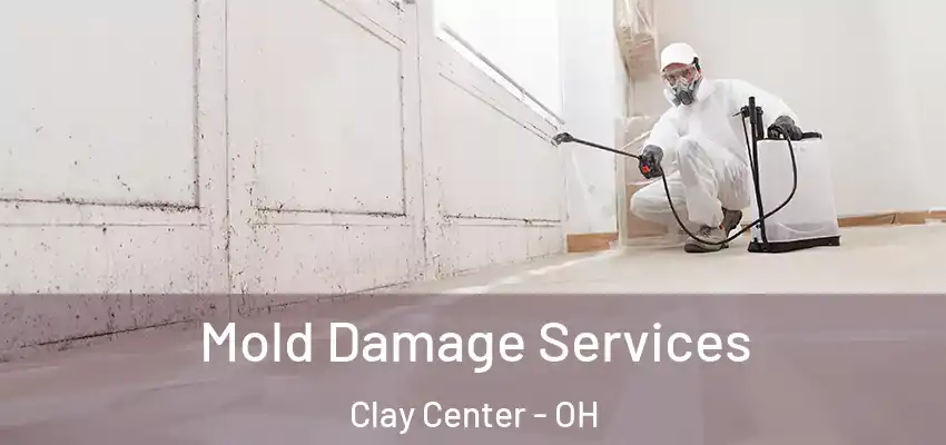  Mold Damage Services Clay Center - OH