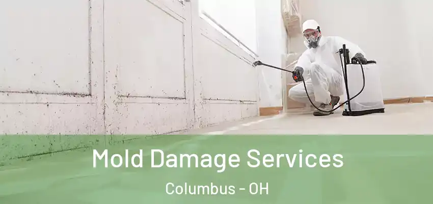  Mold Damage Services Columbus - OH