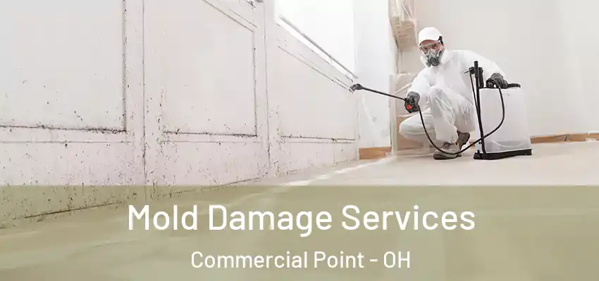  Mold Damage Services Commercial Point - OH