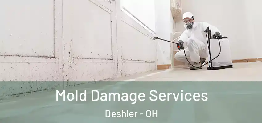  Mold Damage Services Deshler - OH