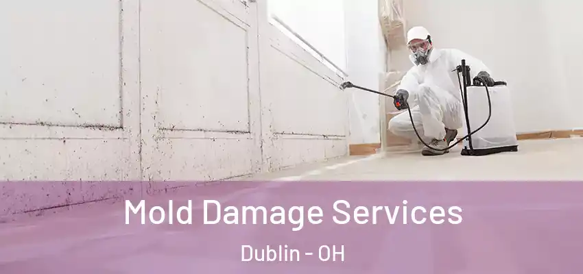  Mold Damage Services Dublin - OH