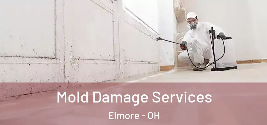  Mold Damage Services Elmore - OH