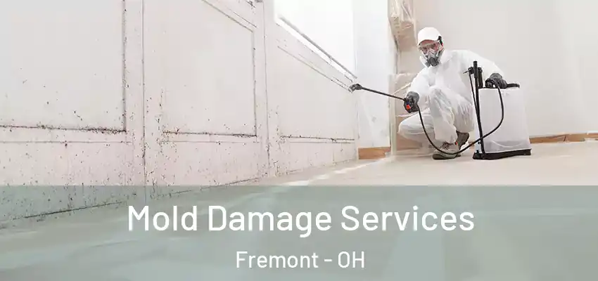  Mold Damage Services Fremont - OH