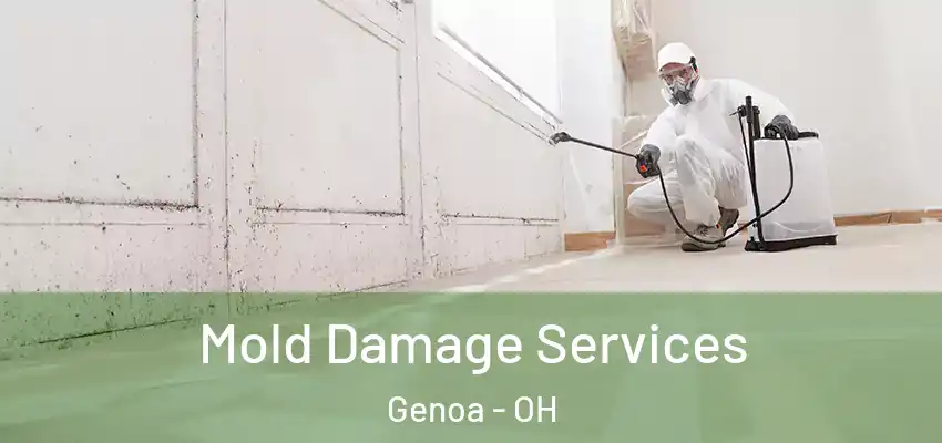  Mold Damage Services Genoa - OH