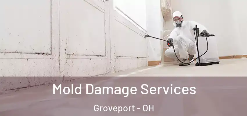 Mold Damage Services Groveport - OH