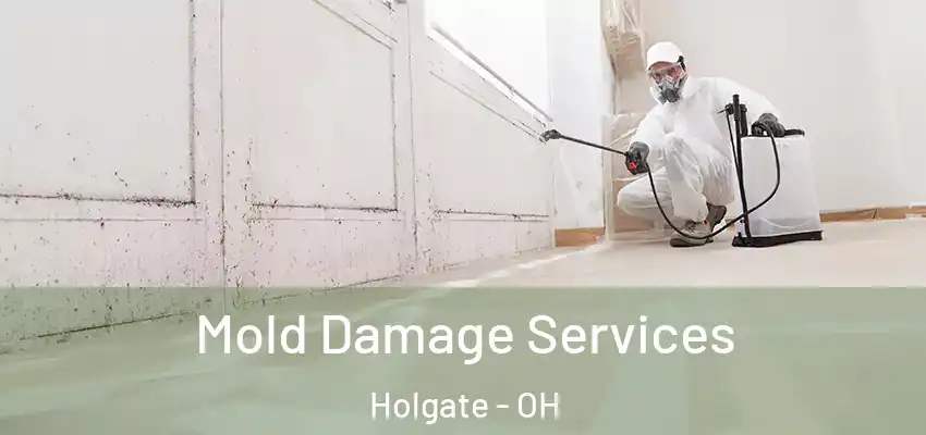 Mold Damage Services Holgate - OH