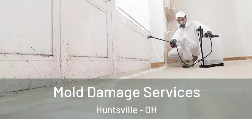 Mold Damage Services Huntsville - OH