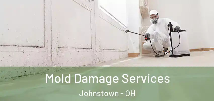 Mold Damage Services Johnstown - OH