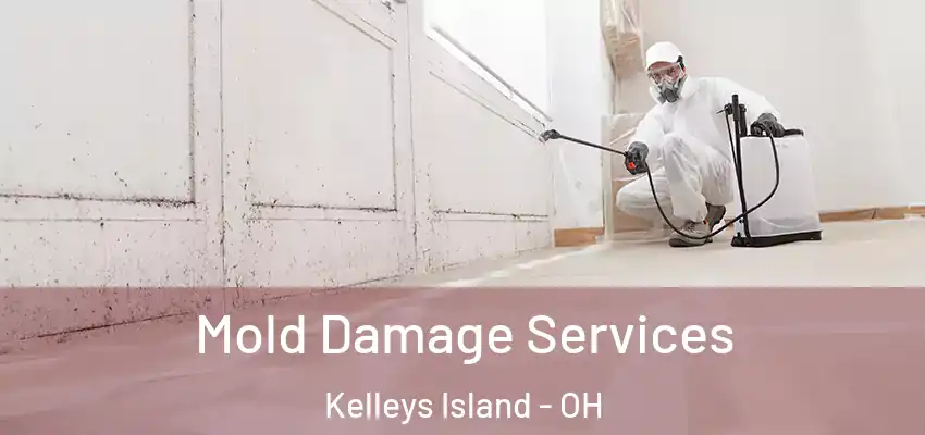 Mold Damage Services Kelleys Island - OH