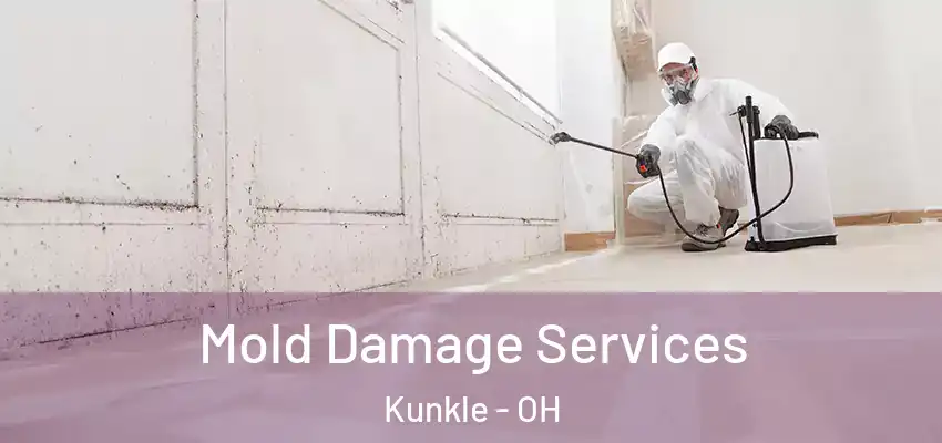  Mold Damage Services Kunkle - OH