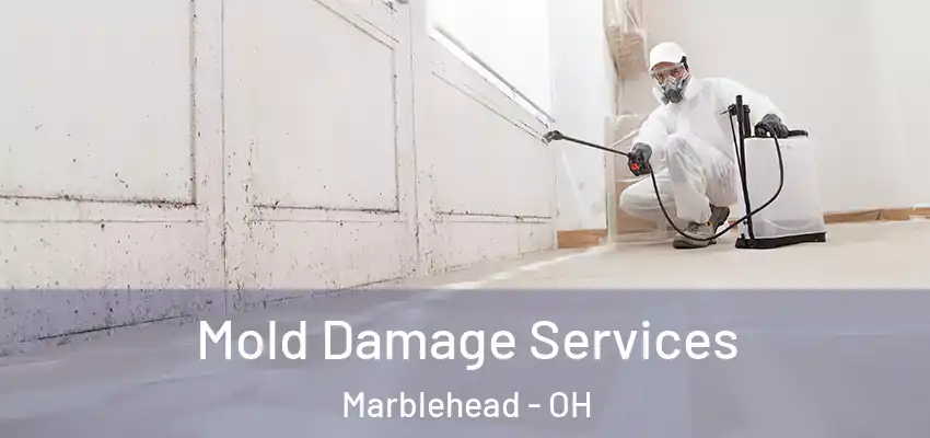  Mold Damage Services Marblehead - OH