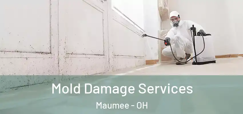  Mold Damage Services Maumee - OH