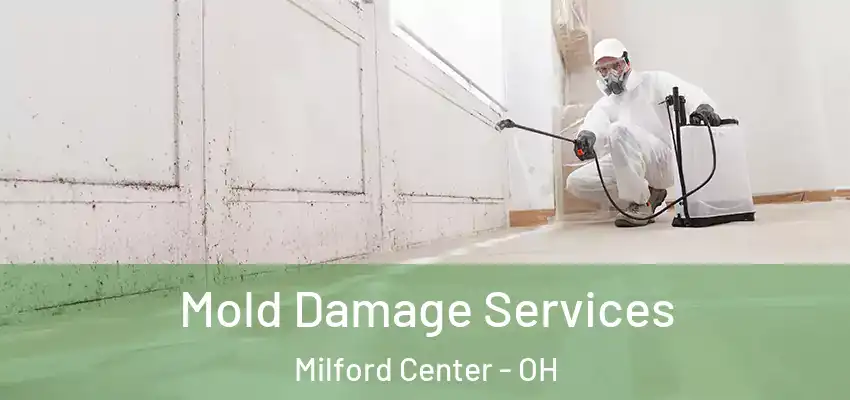  Mold Damage Services Milford Center - OH