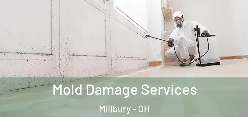 Mold Damage Services Millbury - OH