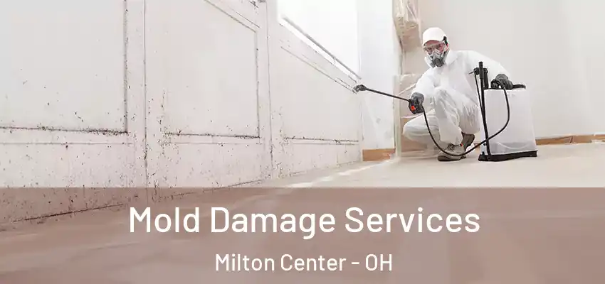 Mold Damage Services Milton Center - OH