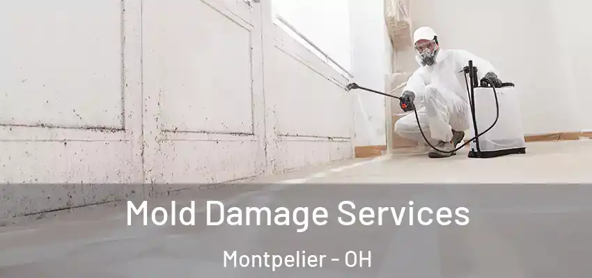 Mold Damage Services Montpelier - OH