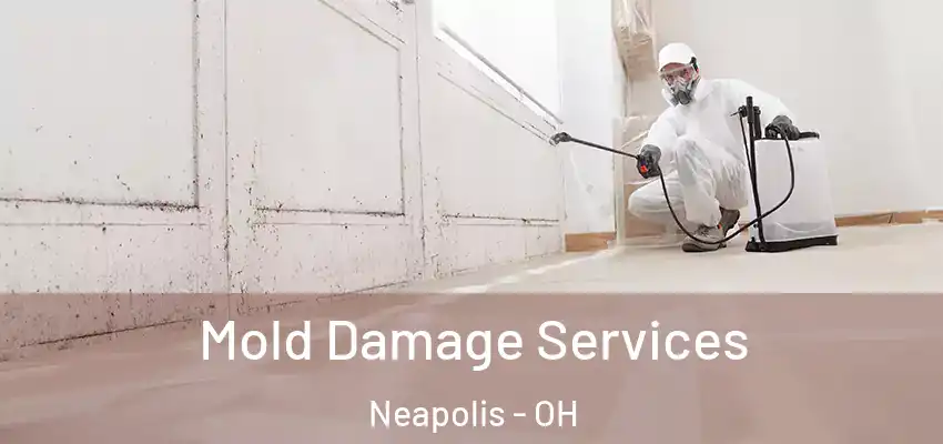 Mold Damage Services Neapolis - OH