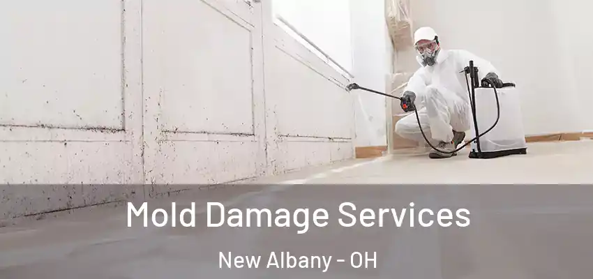 Mold Damage Services New Albany - OH