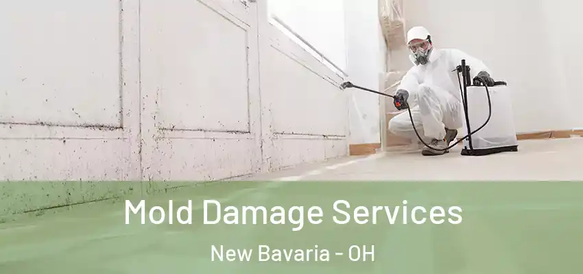 Mold Damage Services New Bavaria - OH