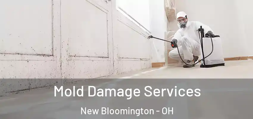  Mold Damage Services New Bloomington - OH