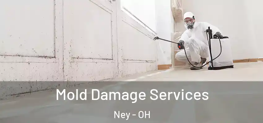  Mold Damage Services Ney - OH