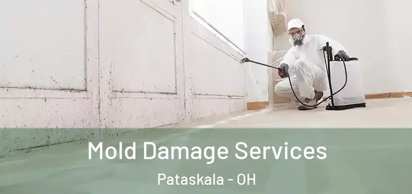 Mold Damage Services Pataskala - OH