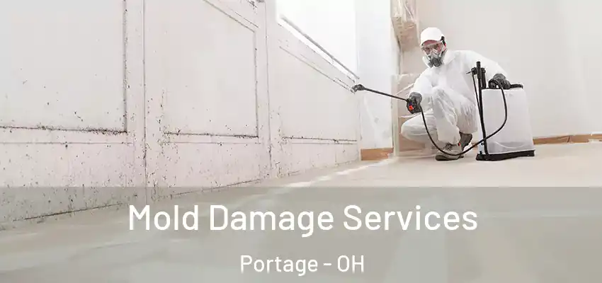  Mold Damage Services Portage - OH