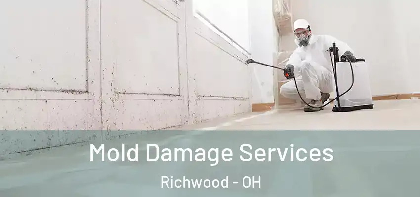 Mold Damage Services Richwood - OH