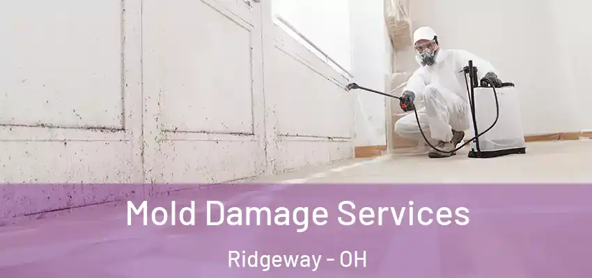  Mold Damage Services Ridgeway - OH