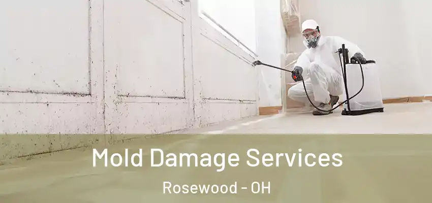 Mold Damage Services Rosewood - OH