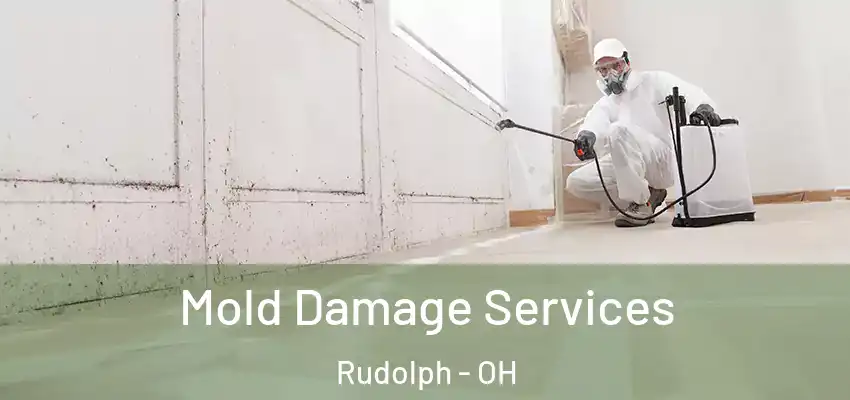 Mold Damage Services Rudolph - OH
