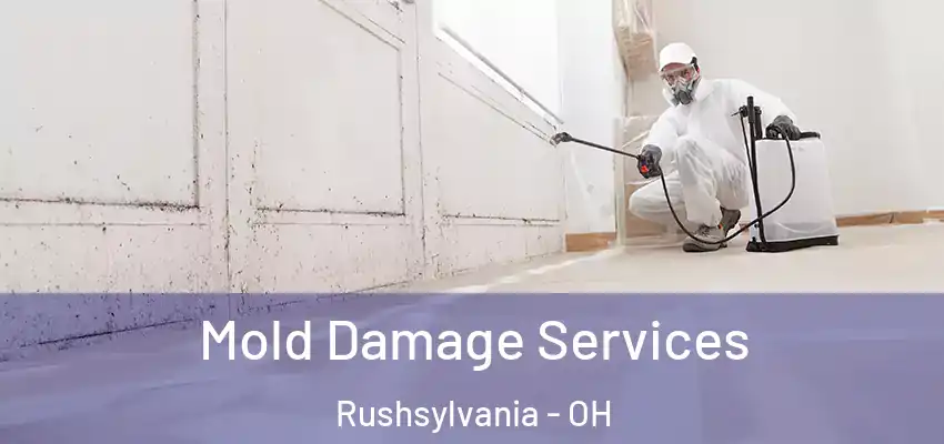 Mold Damage Services Rushsylvania - OH