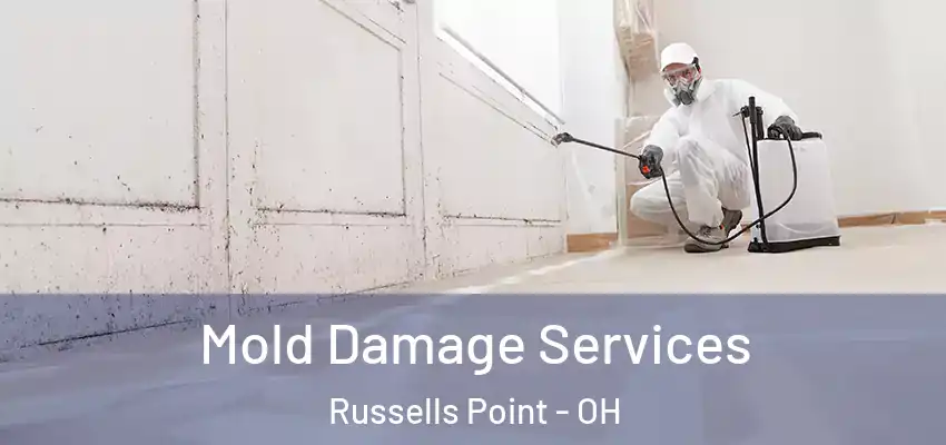 Mold Damage Services Russells Point - OH