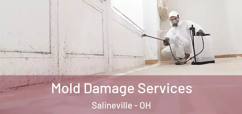 Mold Damage Services Salineville - OH