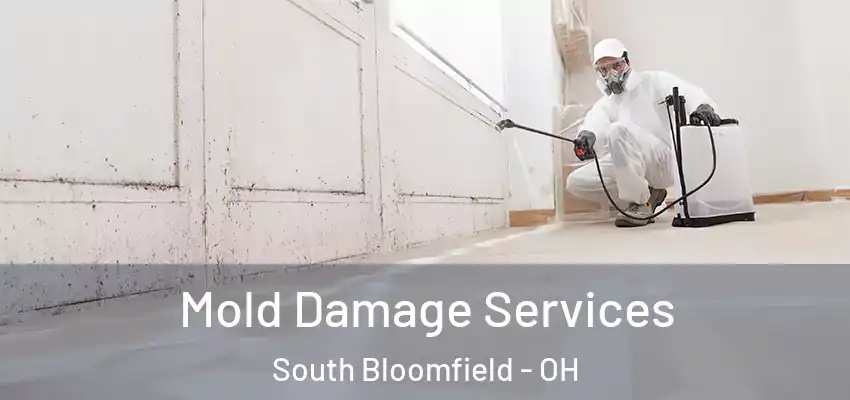 Mold Damage Services South Bloomfield - OH