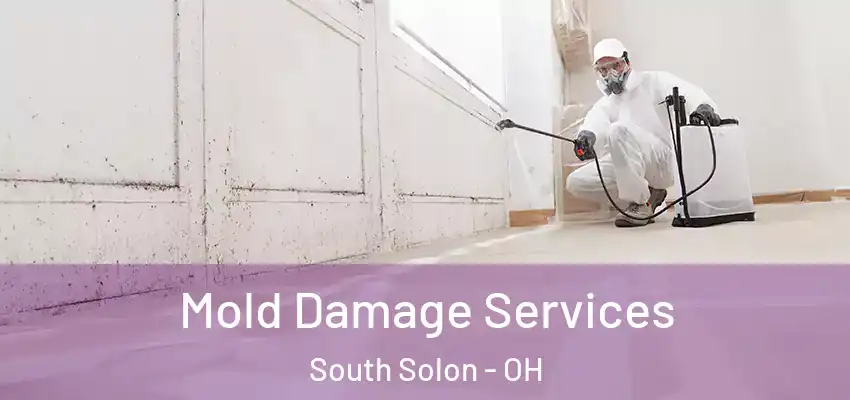 Mold Damage Services South Solon - OH