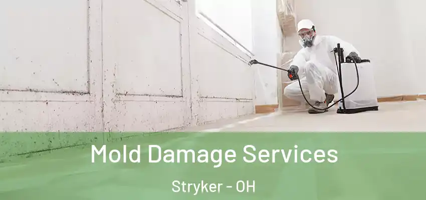  Mold Damage Services Stryker - OH