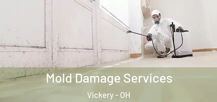 Mold Damage Services Vickery - OH