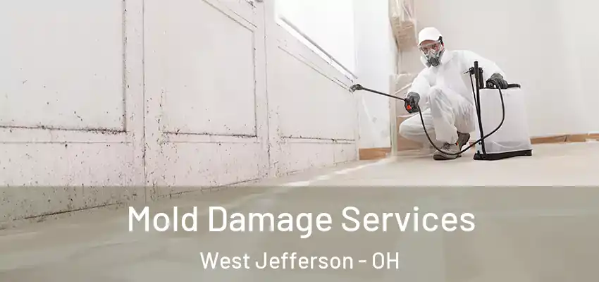 Mold Damage Services West Jefferson - OH